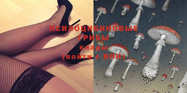 COCAINE Краснослободск