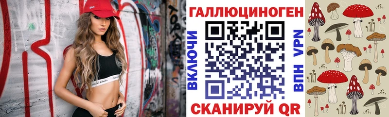 Псилоцибиновые грибы ЛСД  Купить где  Фрязино 