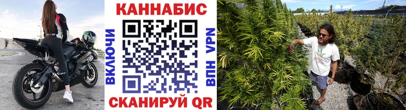 Купить  Фрязино  Канабис план 